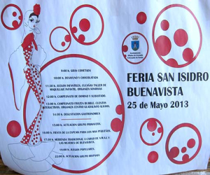 Fiesta de Buenavista 2013