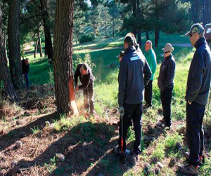  Jayena: Los resineros vuelven al sur