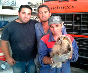 El Centro de Recuperación de Especies Protegidas no tiene presupuesto para su cometido