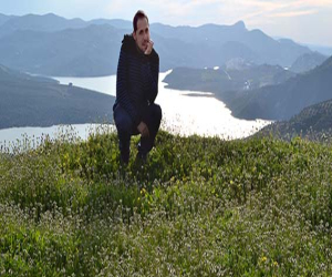 Remedios naturales. La mejor aspirina la encontramos junto al río; el sauce blanco