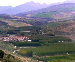 Cuatro heridos, entre ellos un menor de tres años, en un accidente en la GR-3310 en Cacín