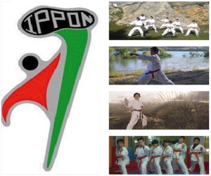 A partir del lunes, 2 de septiembre, comienzan las clases de karate y full-contact en el club deportivo Alhama-Ippon