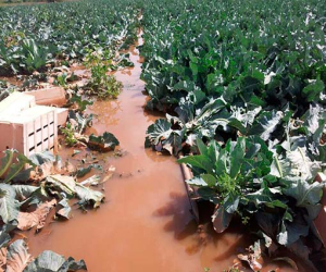 Desastre en el campo de Zafarraya