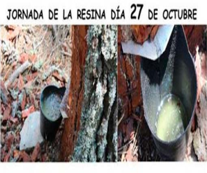 Fornatura organiza la jornada de la resina