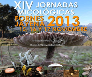 El 15, 16 y 17 de noviembre XIV Jornadas micológicas de Fornes y Jayena