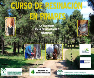 Curso de resinación en pinares