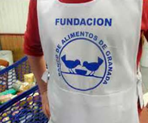 Solidaridad