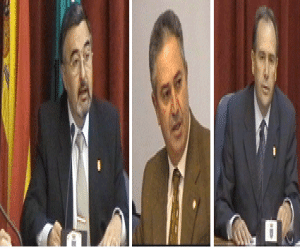 Pleno institucional del día de la Constitución en Alhama