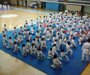 Curso de captación de nuevos talentos en karate