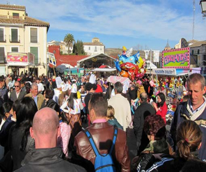 Alhama despide su Carnaval 2014 con lleno total