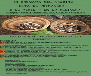 II jornada del negrito ‘Seta 'de primavera’, el 13 de abril