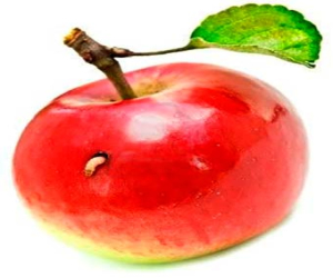 Manzanas podridas