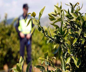 Detienen en Ciudad Real a ladrones que utilizaban para robar una furgoneta robada en Alhama