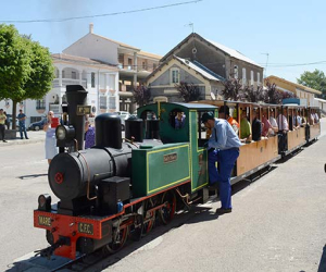 Las continuas referencias al Poniente Granadino eclipsaron la puesta en marcha del tren turístico de Ventas de Zafarraya