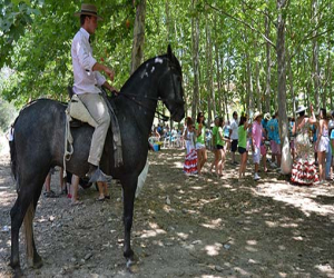 Fornes celebra su romería 2014