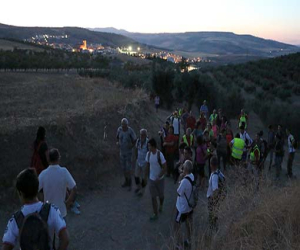 La 'V Ruta nocturna' tuvo una gran participación