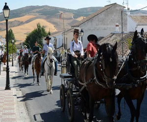 Veinticinco carrozas dieron el colorido a la Romería del Vino 2014
