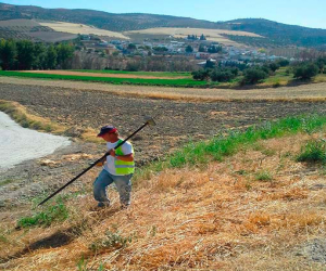 Información de la Plataforma: La carretera tiene presupuesto para 2014
