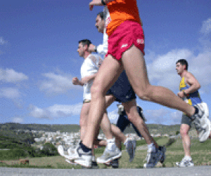 Gran Premio de Fondo Diputación-Cruzcampo, 2006