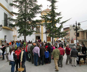 XV Jornadas micológicas de Jayena y Fornes edición 2014, con abundancia de setas