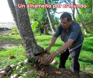 Islas del mundo: Lifou (Islas Lealtad-Nueva Caledonia)