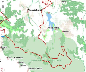 Historia de Jayena; deslinde Jayena, Arenas del Rey y Alhama