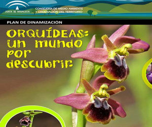 Tres actividades para este mes de abril en La Resinera