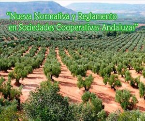 “Nueva Normativa y Reglamento en Sociedades Cooperativas Andaluzas”