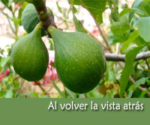 Las brevas candongas