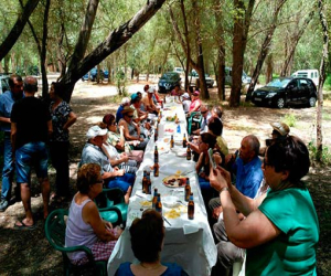 Los mayores pasaron un día fenomenal en convivencia