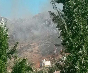 Incendio forestal en Ventas de Zafarraya