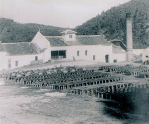 Visita a la antigua fábrica de resinas para conocer la historia de la resinación