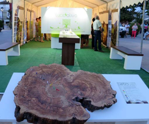 La ‘Lucio extra tour’ pasó por Alhama