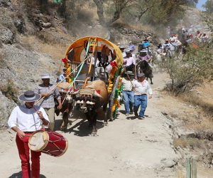The Romería del Vino
