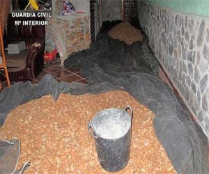 Ocho detenidos por el robo de casi tres toneladas de almendras 