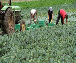 Ampliado hasta el 30 de septiembre el plazo para solicitar ayudas destinadas a la incorporación de jóvenes al campo