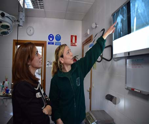 Más de trescientos ejemplares de especies amenazadas son atendidas en el Centro de Recuperación de Especies amenazadas