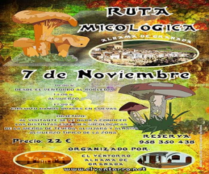 Ruta micológica con baño árabe, el próximo sábado 7 de noviembre