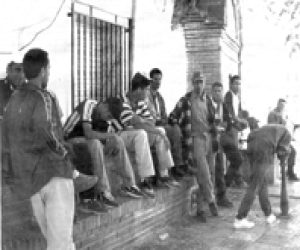 Zafarraya recibió 1.010 inmigrantes temporeros