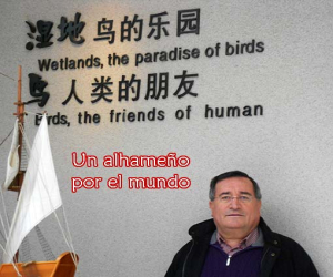 Conociendo China (X). El lago de arena o lago Shahu (Ningxia) 