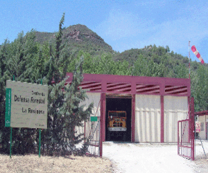 Abierta bolsa de empleo para la contratación temporal de personal para los Centros de Defensa Forestal