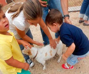 Una campaña acerca a unos 4.200 escolares el cuidado y bienestar de animales de compañía