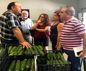 El PSOE llevará a las cámaras propuestas para fortalecer el sector hortícola de Zafarraya