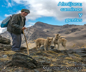 Un pastor auténtico