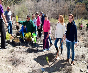 Medio Ambiente facilita en un año más de 16.000 plantones para reforestaciones participativas en la provincia