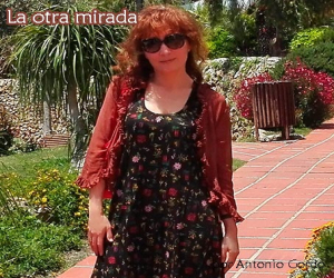 La mujer que busca historias (Carta abierta a Mariló)