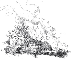 Secretos del Marchán: El forastero