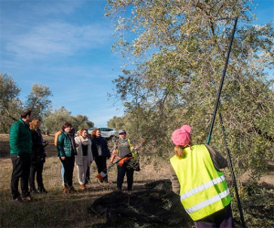 La Junta promueve el empleo y la actividad emprendedora de la mujer en el medio rural gracias al I Plan de Igualdad