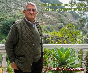 Pedro, el guarda forestal