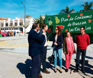 La Junta difunde hábitos alimenticios saludables a 39.056 escolares de 175 centros de Infantil y Primaria de la provincia